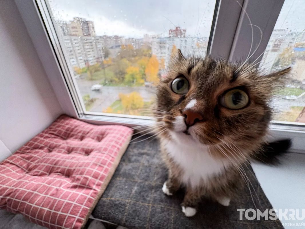 В Томске тепло вернулось в 99,7% домов