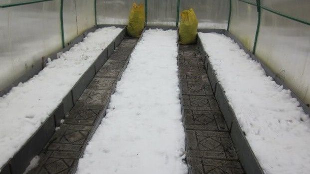 ��� ���� � ������� �������� ����� ����� ������ �����