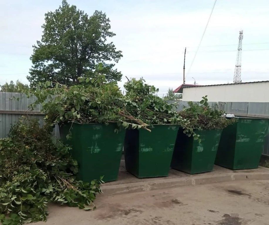 Растительные отходы под защитой закона: новая реформа в управлении отходами в России
