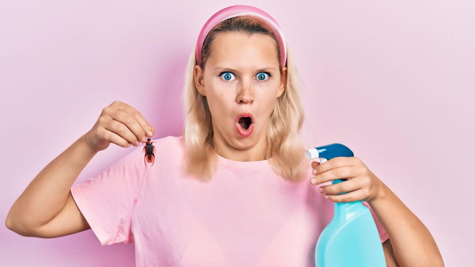 Тараканы убегут в два счета: это чудо-средство выведет насекомых