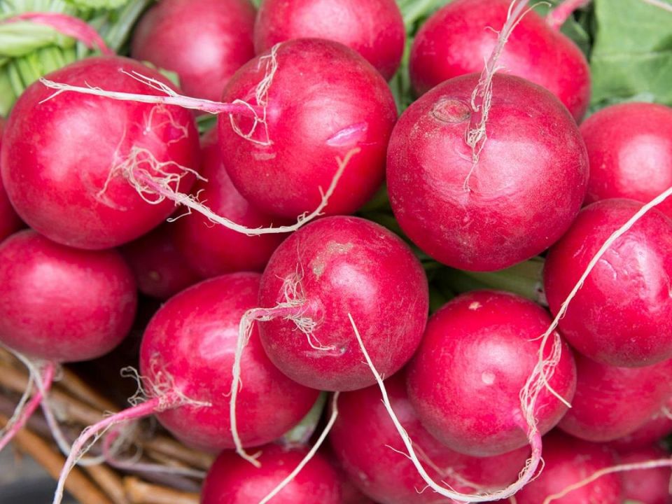 Секретный трюк для сладкого редиса: как лед поможет избежать горечи
