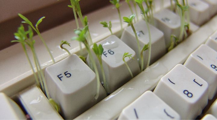 Как часто стоит очищать клавиатуру, чтобы избежать неприятных последствий?