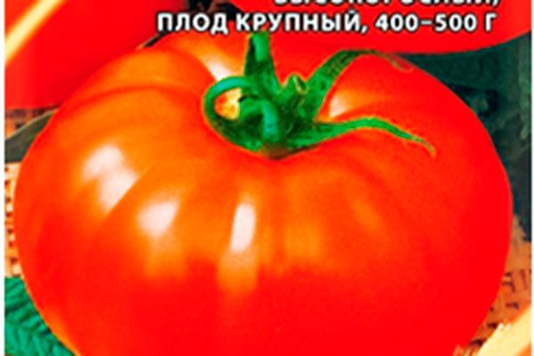 Томаты Сибиряк: Как вырастить эти удивительные плоды даже в сложных условиях