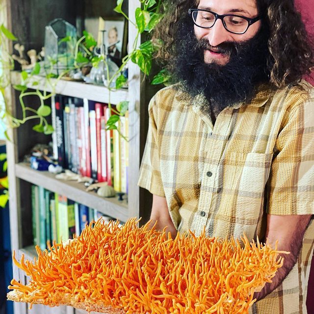 Грибы поют: как один музыкант нашёл вдохновение в домашней ферме