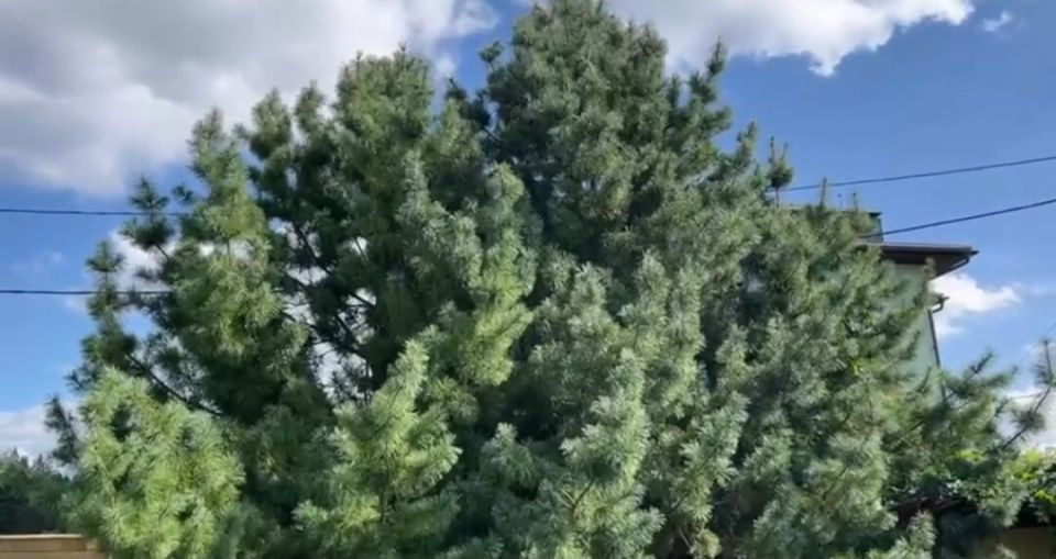 Как увлечения с детства вдохновляют на новые идеи и проекты