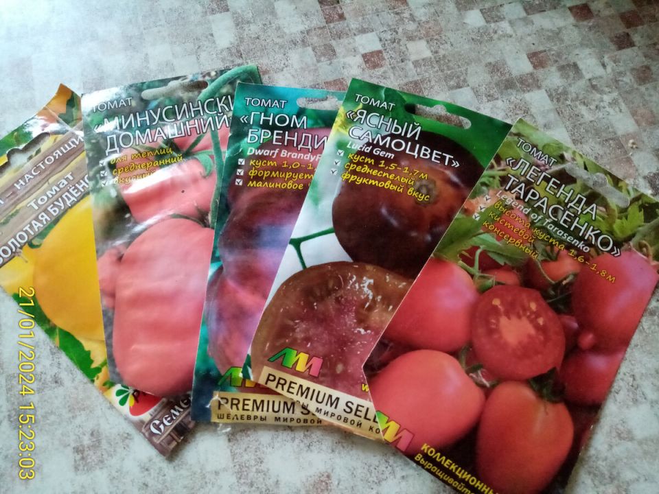 Семена для нового огородного сезона: как обойти дефицит и выбрать лучшие сорта