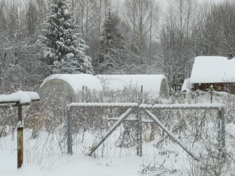 Как народные приметы помогают предсказать урожай в 2025 году