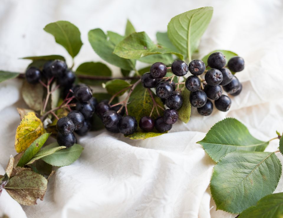 ��� ������������ ������ ������ ������� ����