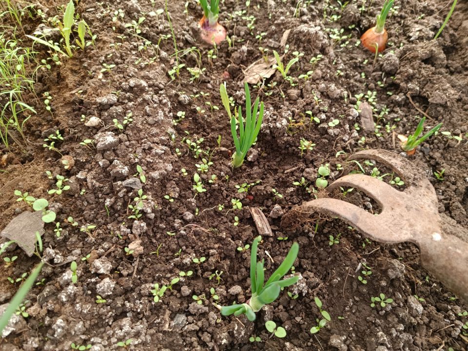 ��� �� ��� ���� ������������� ������ ����� � ����������� �����