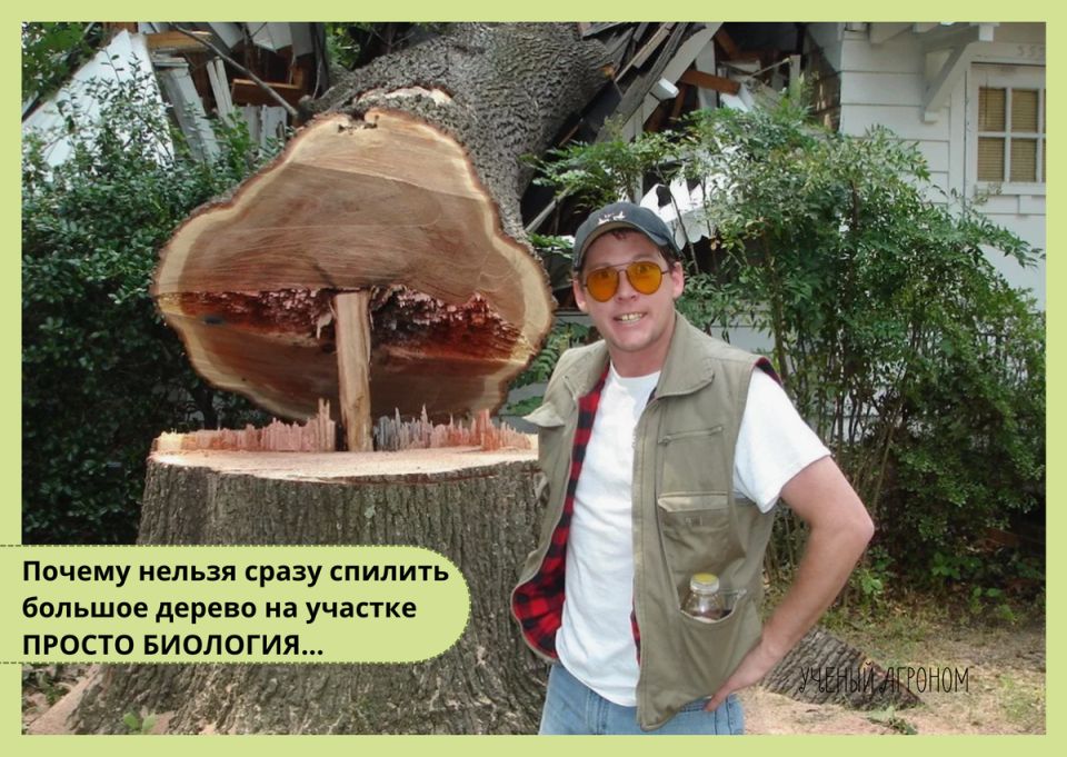 ��������� ������� ����� ��������: ������ ����� ������ ��� ���������