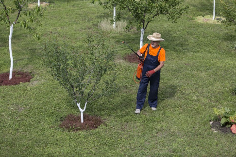 ��� ������� ��������� ���� ����� �������� ���������� ������ ������