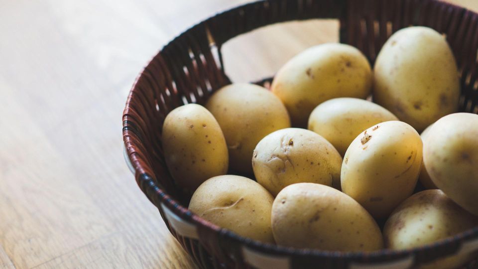 �� ����� �� �����: �������� ������ ���������� ��� �������� ��������, ������� ��� ������