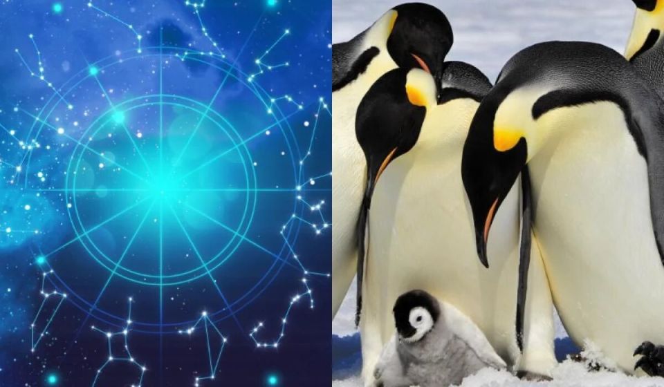 ����� ������� ������������� ������ ����� �������?