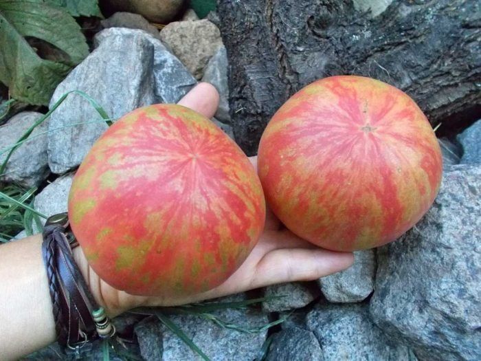 ����� ������� �������� �����: ������� ��� ������ � �����