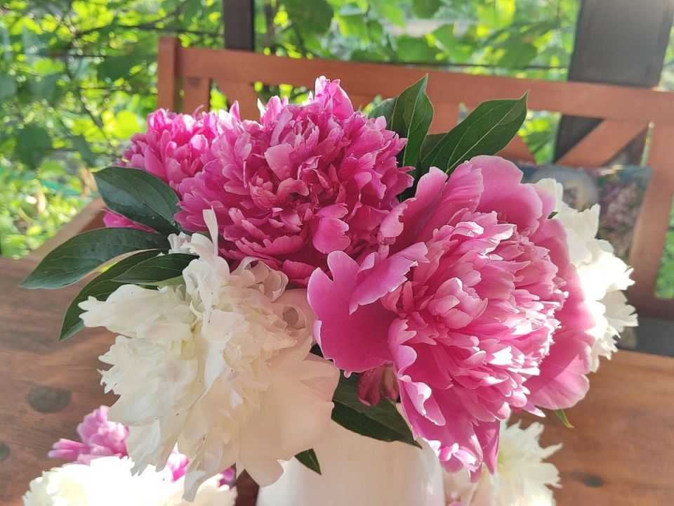 ����� � ������: ������� ��������� ��� ����