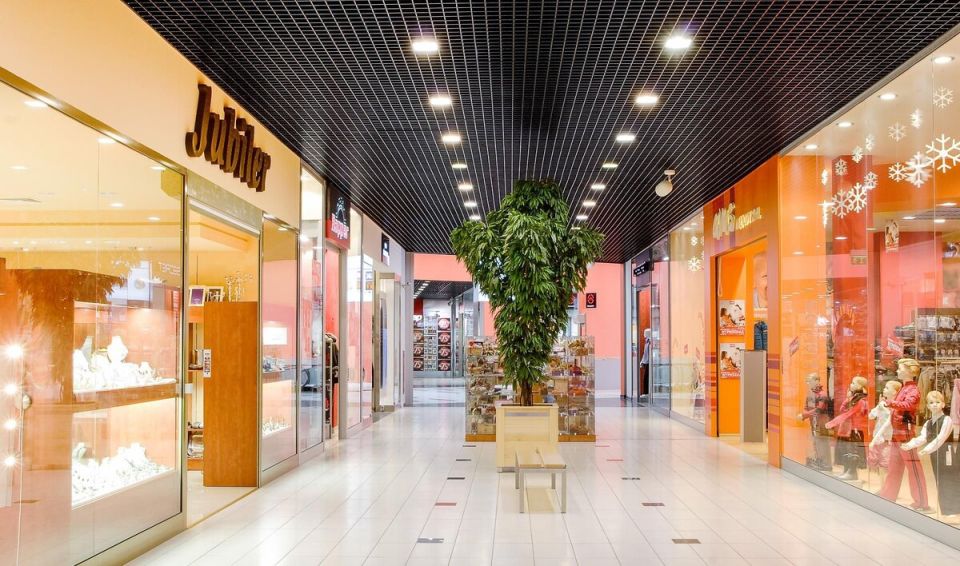 ����� ������������: �������� �������� ���������� ������ ������������ �����������