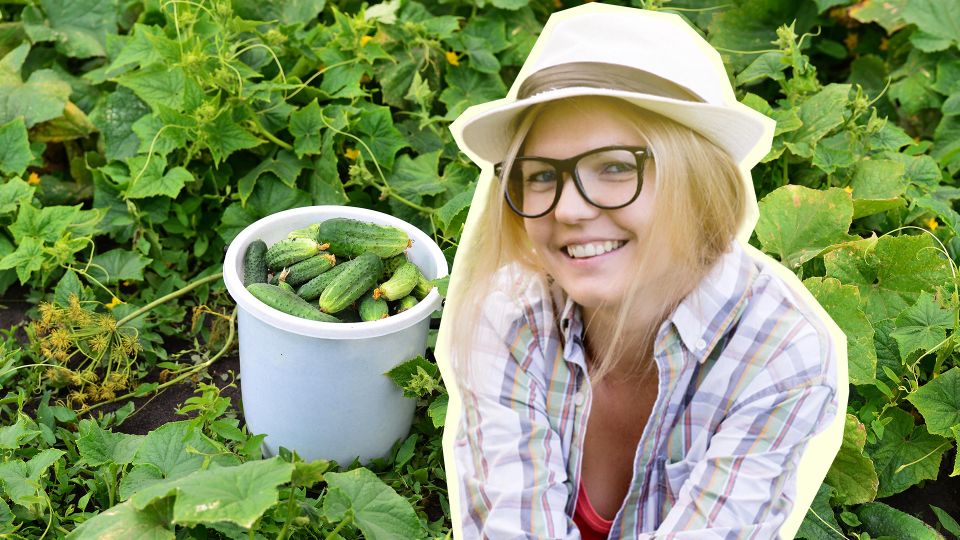 �� ���� ������ ������� � ��������� ����� �� �����: ������ ��� ����� ������������