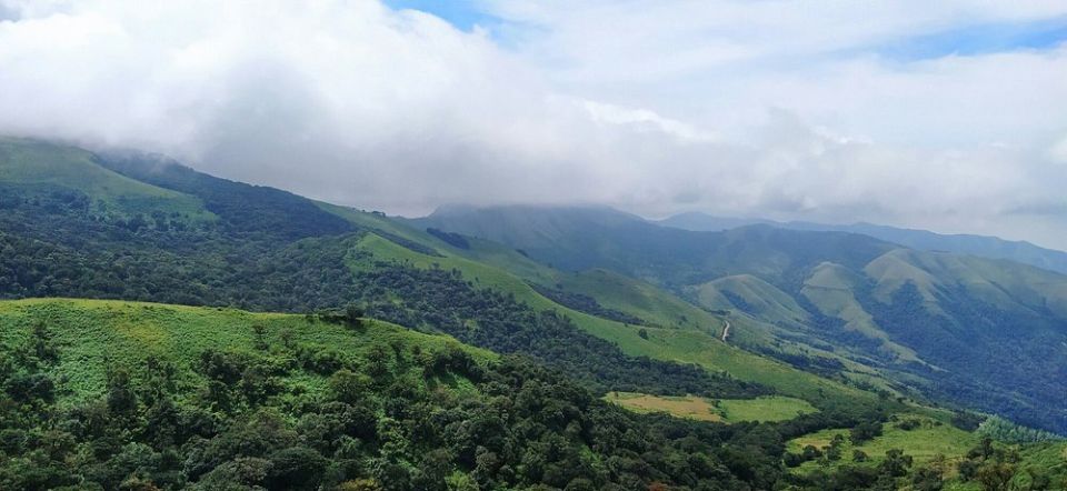 Индийский кофе: Магия вкусов и философия в каждой чашке