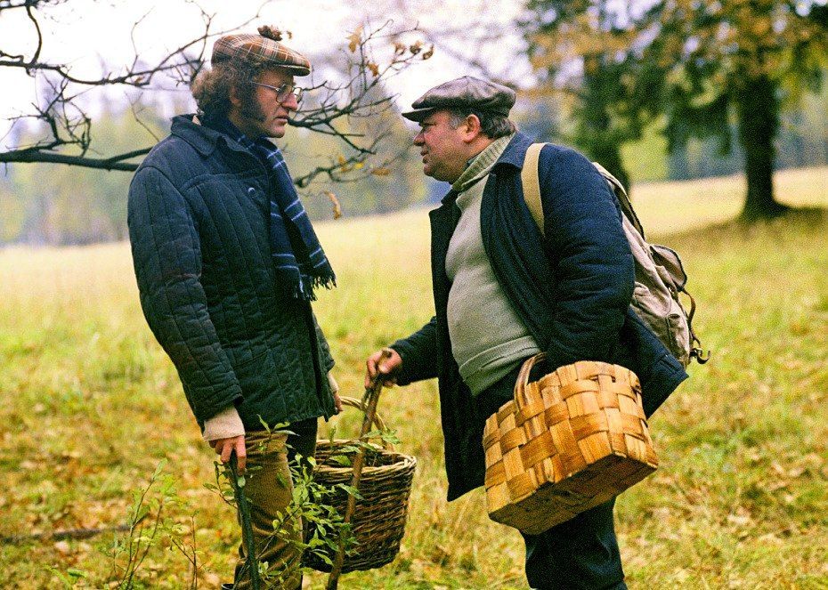 Тихая охота: почему сбор грибов стал русской традицией