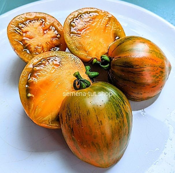 ������ ������ ��������: ��� ������������ � ��������������� ��������� ������ ���������