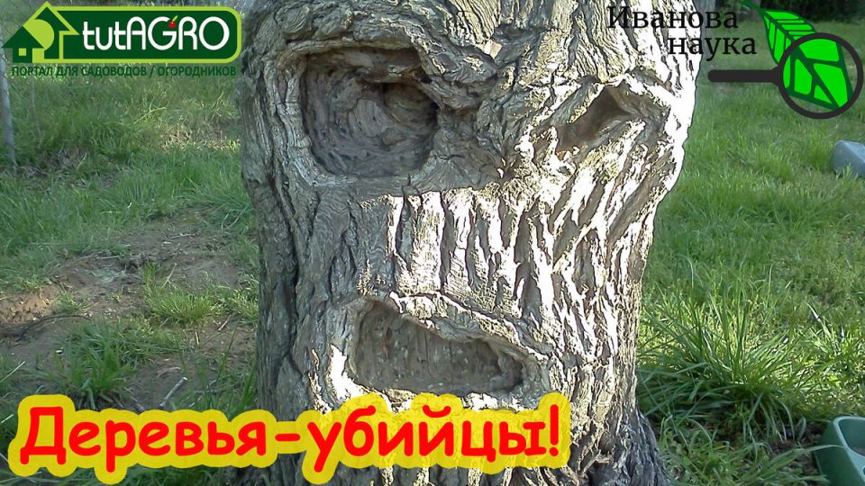 ������ ��������� ������� ����� ��������� ��� ���