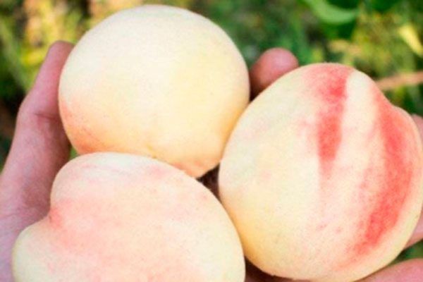 ������ ����� �������� �������� �� ������ ����� ������?