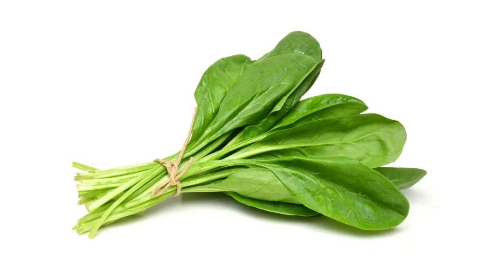 ������: ��� �� �� ����� ���� � �������� ���� ��� ���� ����� �������?