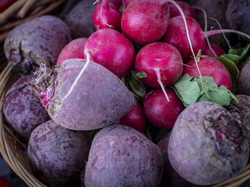 ��� ��������� ���������� ������: ������� ������ �� �������