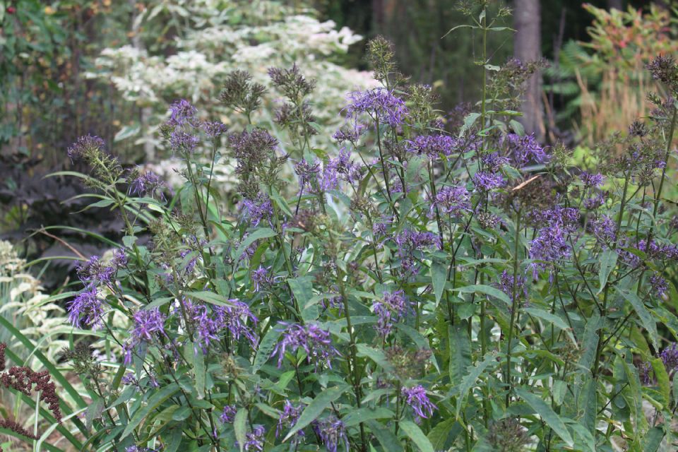 ������� �� ����: ����������� �������� � ����� ��������