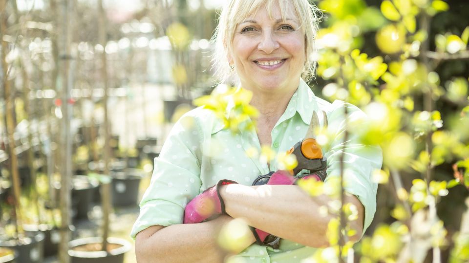 ������� �� ������� � ����� �������� ��������: ���������� ����� ���� ���������