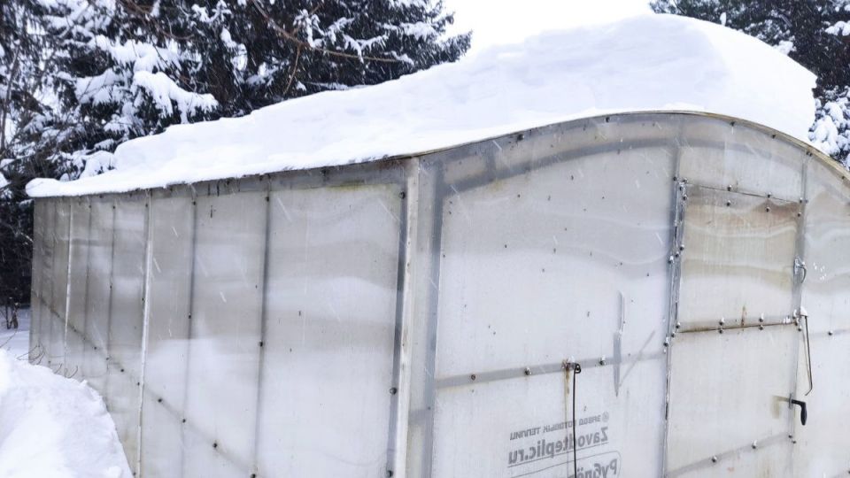 ����������� ������� ������� ����� � ������ �����