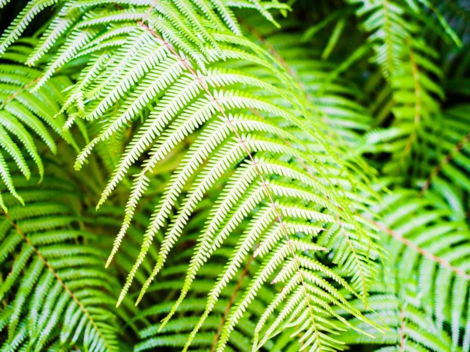 �� ��� ��������� �������� �������� �������� ��� �������