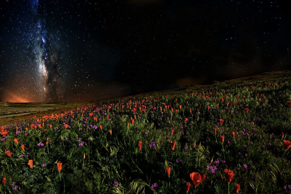 ��� �������� ����� ���� ����� � ������ �� ����� ����������� �����