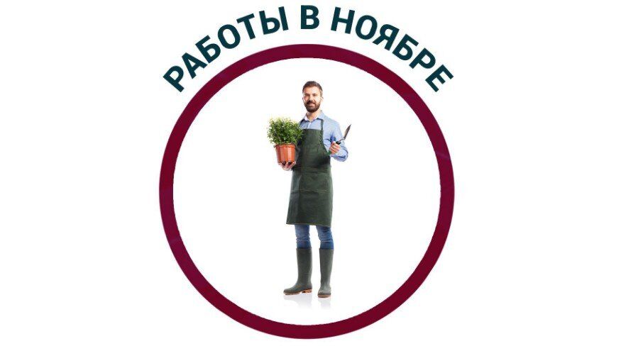 <strong>��� ����������� ��� � ����: 6 ������� ����� ��� ���������</strong>