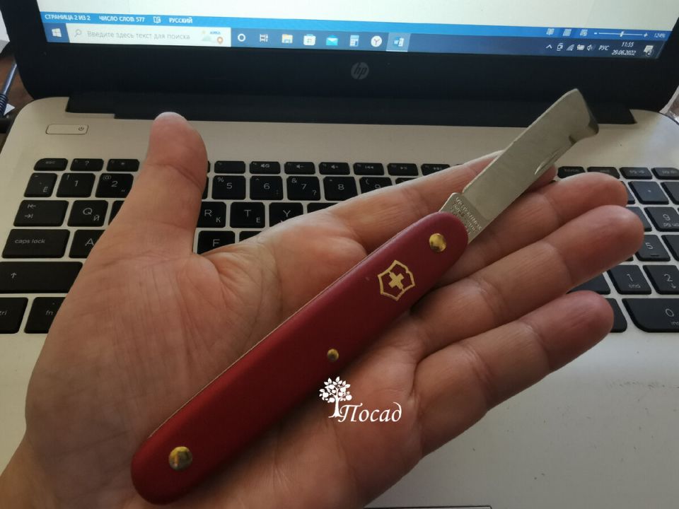 ��� � ������� ��������� �������: ����������� ������ � �������� ������