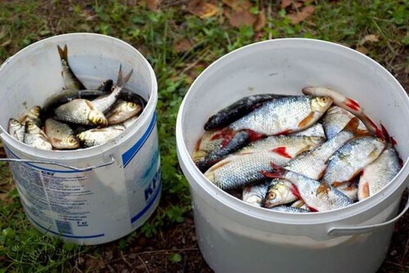 �� ������, ��� ����� ��������� ������ ���� ��� ������������? ��� ���!