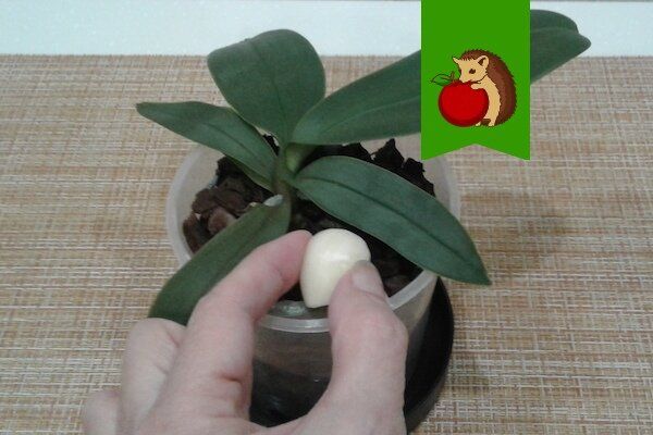 ������ � ������� � ����������: ������� �������� � ������