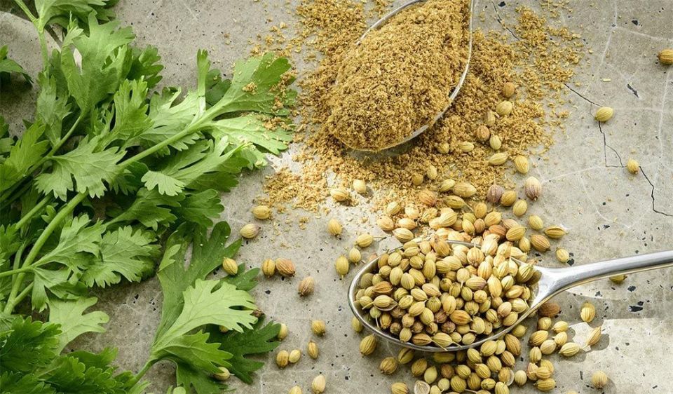 Кориандр: специя, способная изменить ваше представление о кулинарии