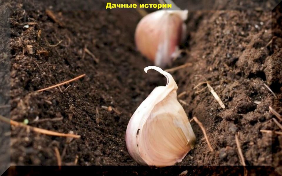 ��� ��������� �������� ������ ������ � ���: ������ ��� ��������� ������