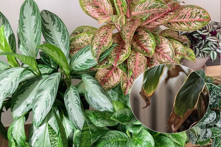 ������ � ��������� ������ ������? ����������� � �������� � ��������