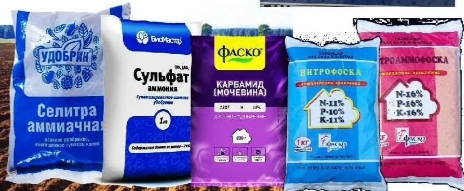 ��� ��������� ������� ����������� ���������: ������� � �������������